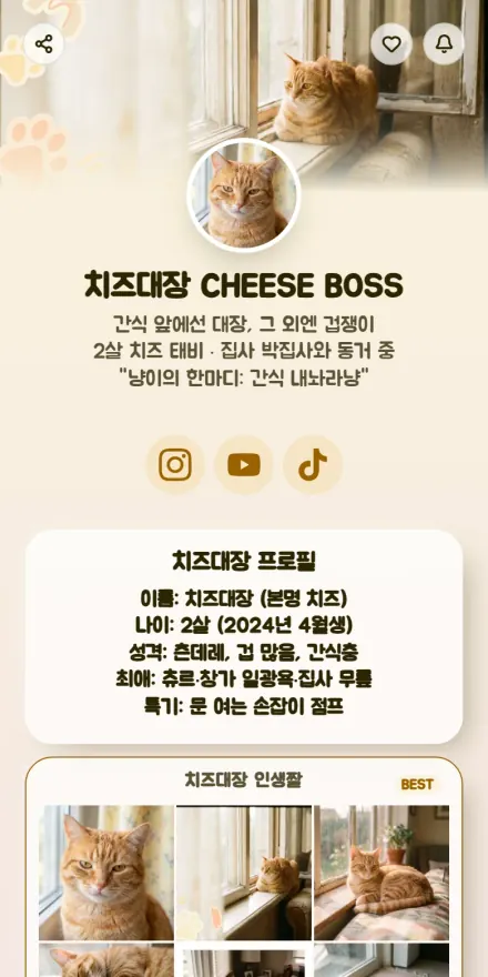 반려동물 계정 페이지 미리보기